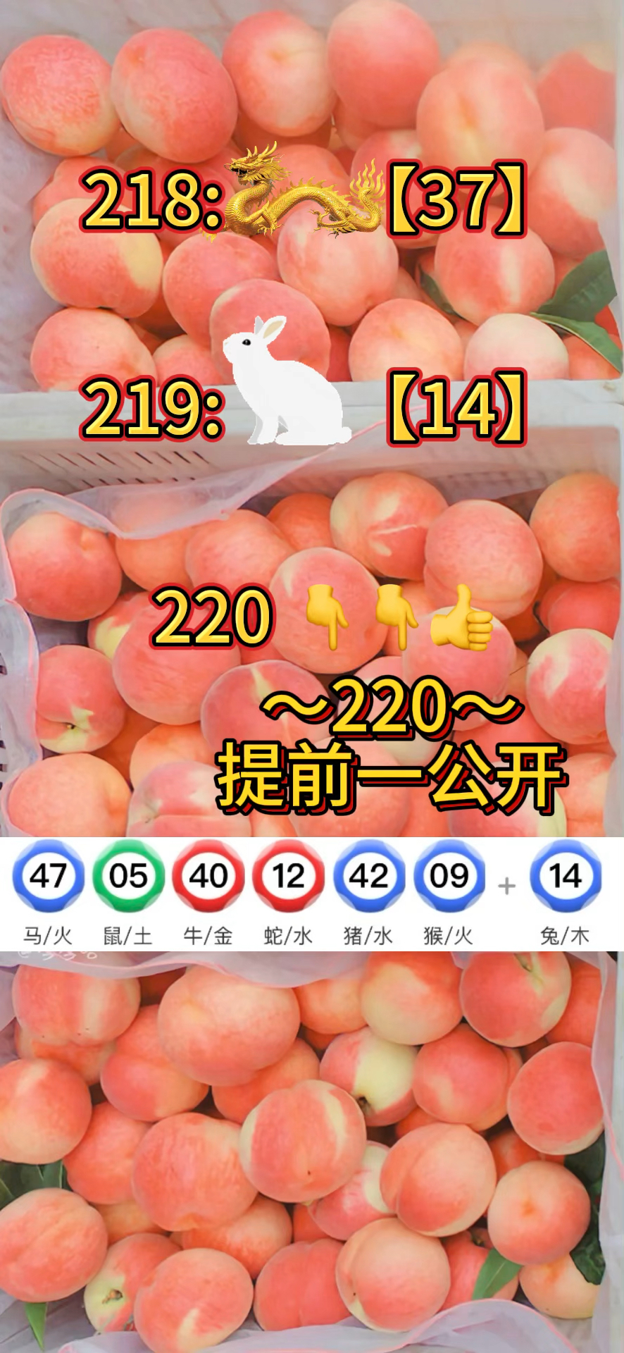 澳彩免费资料图片大全