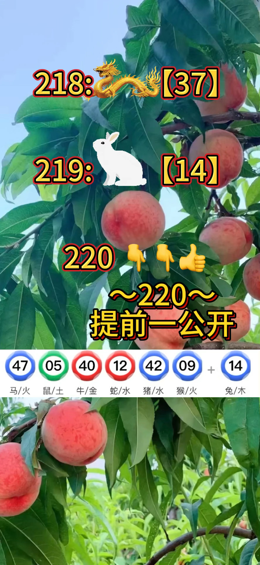 科普展现:今日澳门新报（澳门日报今日消息）