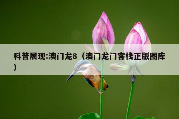 客户服务 第6页
